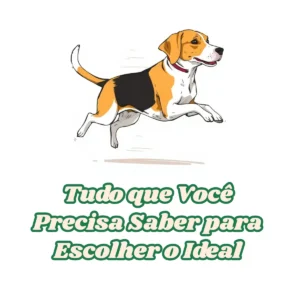 Vacinas filhote de beagle: Tudo que você precisa saber para cuidar do seu cachorro