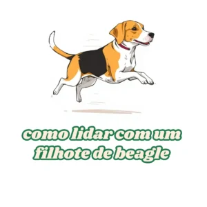 Como lidar com um filhote de beagle