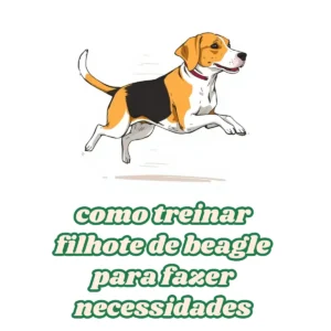 Como treinar filhote de beagle para fazer necessidades de maneira eficaz