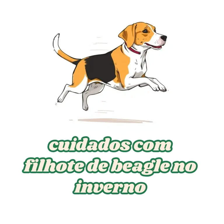 Cuidados com filhote de Beagle no inverno