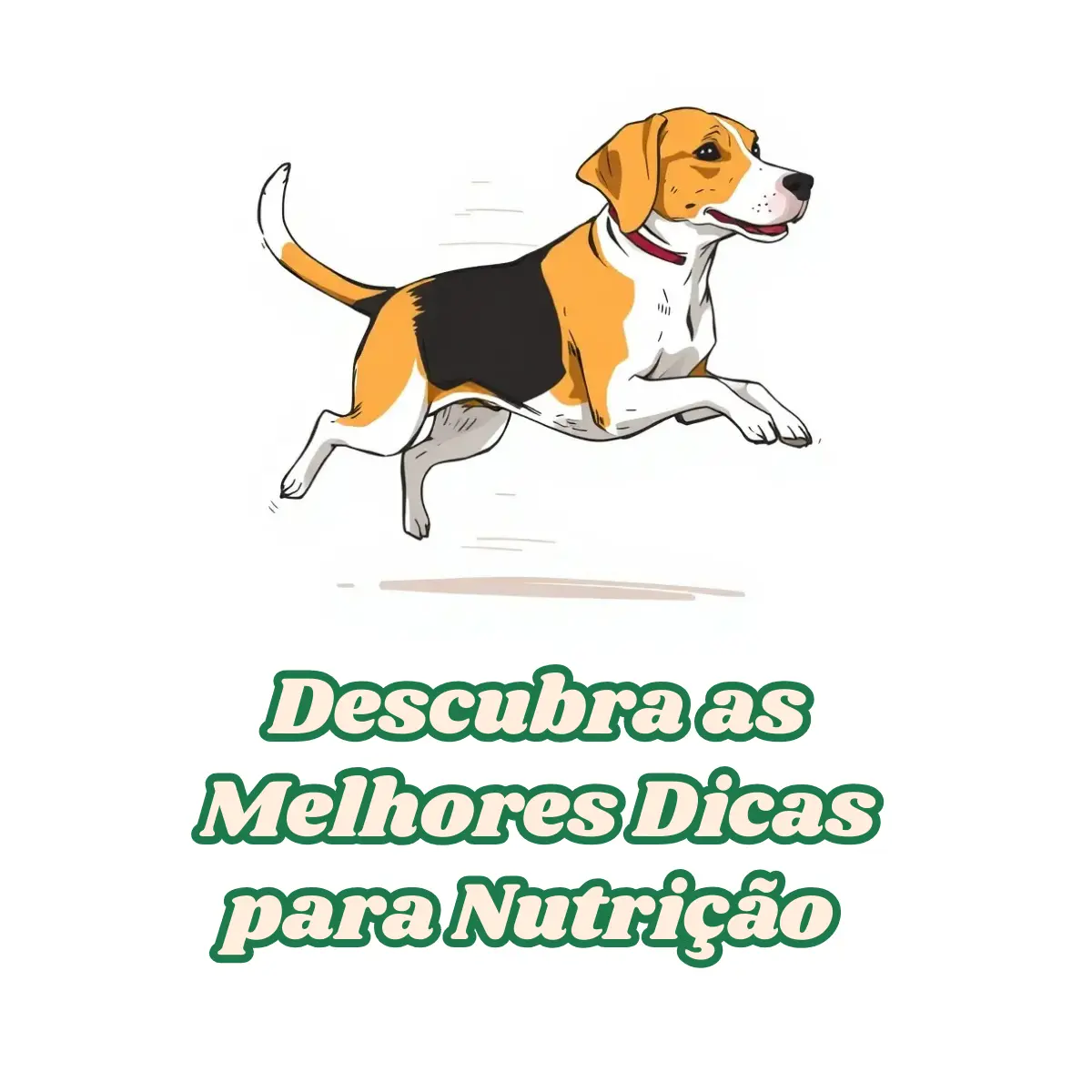 Beagle Filhote Alimentação: Descubra as Melhores Dicas para Nutrição