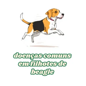 Doenças Comuns em Filhotes de Beagle
