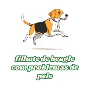 Filhote de Beagle com Problemas de Pele: Como Cuidar Delicadamente