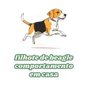Comportamento em Casa e Dicas para Cuidar