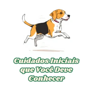 Filhote de Beagle: Cuidados Iniciais que Você Deve Conhecer