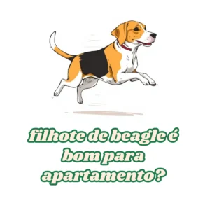 Filhote de Beagle é bom para apartamento