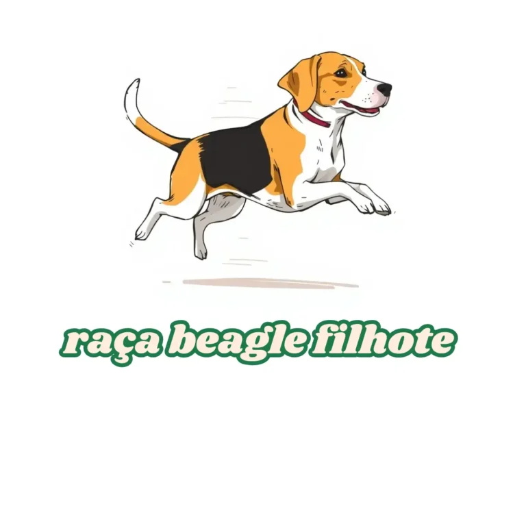 Raça Beagle Filhote