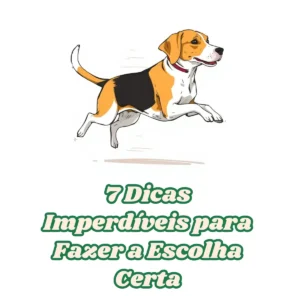 Como escolher um filhote de beagle: 7 Dicas Imperdíveis para Fazer a Escolha Certa