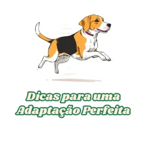 Filhote de Beagle em Casa: Dicas para uma Adaptação Perfeita