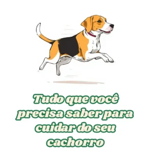 tudo que você precisa saber para cuidar do seu cachorro
